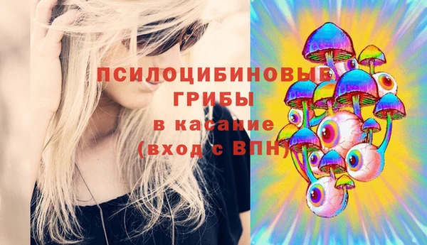 спайс Белокуриха