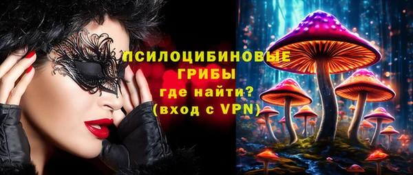 спайс Белокуриха